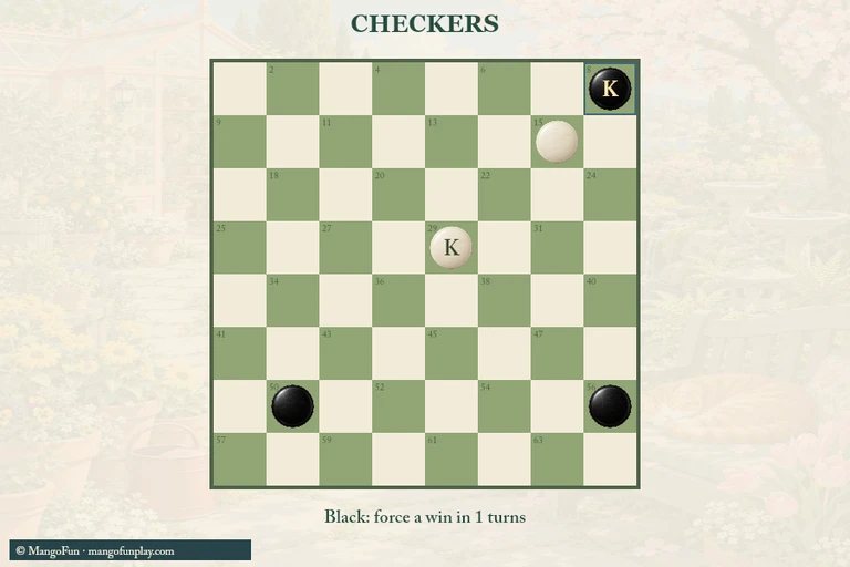 Checkers cover illustration