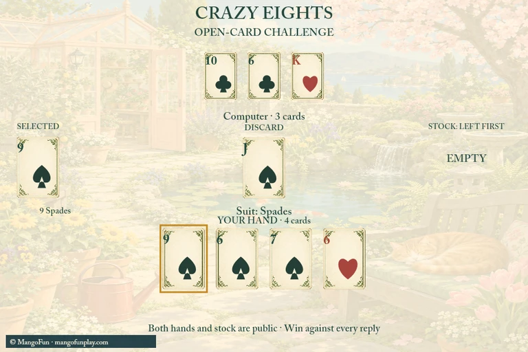 Crazy Eights cover illustration