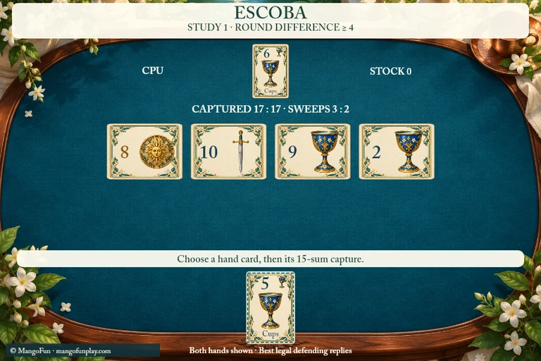Escoba cover illustration