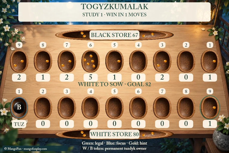Togyzkumalak cover illustration